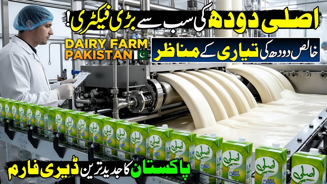 Amazing Milk Factory 🥛 | Biggest Dairy Farm in Pakistan 🇵🇰 | Full Factory Tour | Discover Pakistan