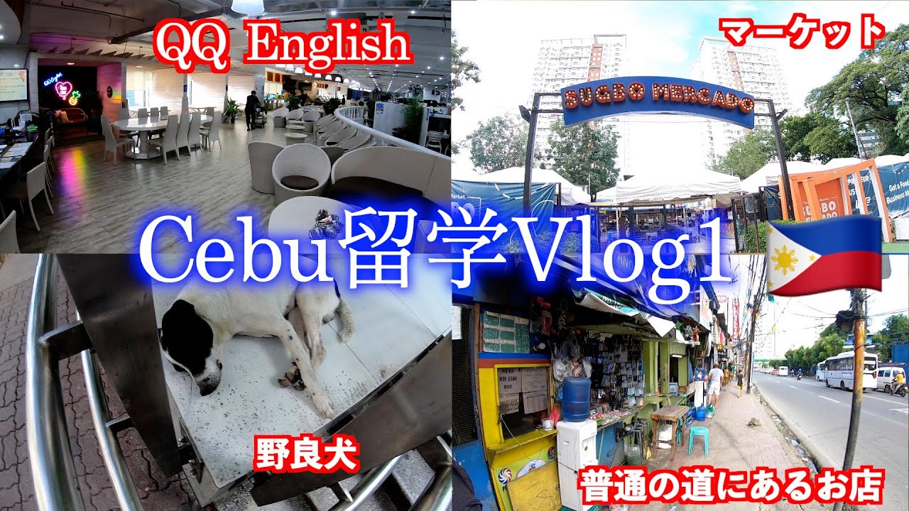 【セブ留学】QQ Englishでの1ヶ月留学が始まります。