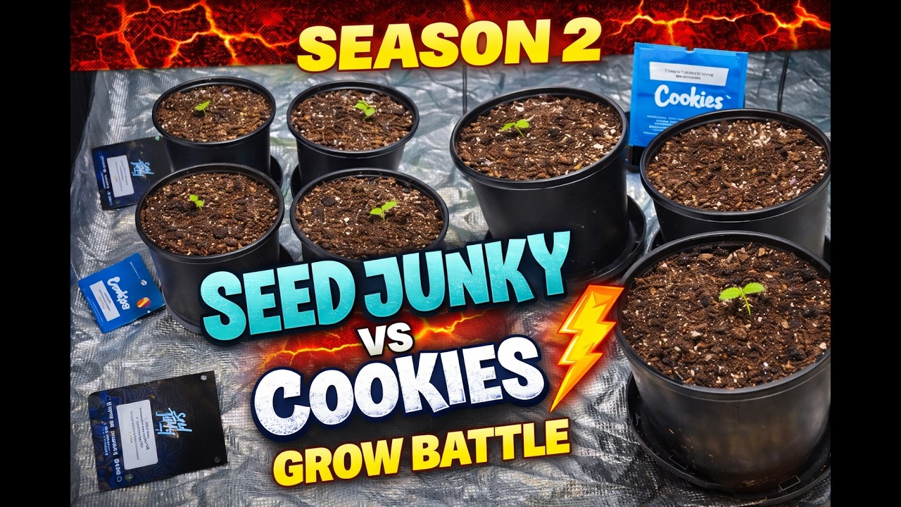 Seed Junky vs Cookies&hellip; Which Seeds Will Survive? 🌱 | Season 2 Ep 1