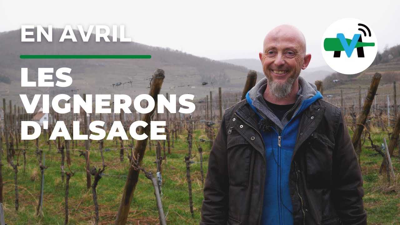 Les vignerons rencontrés en Alsace
