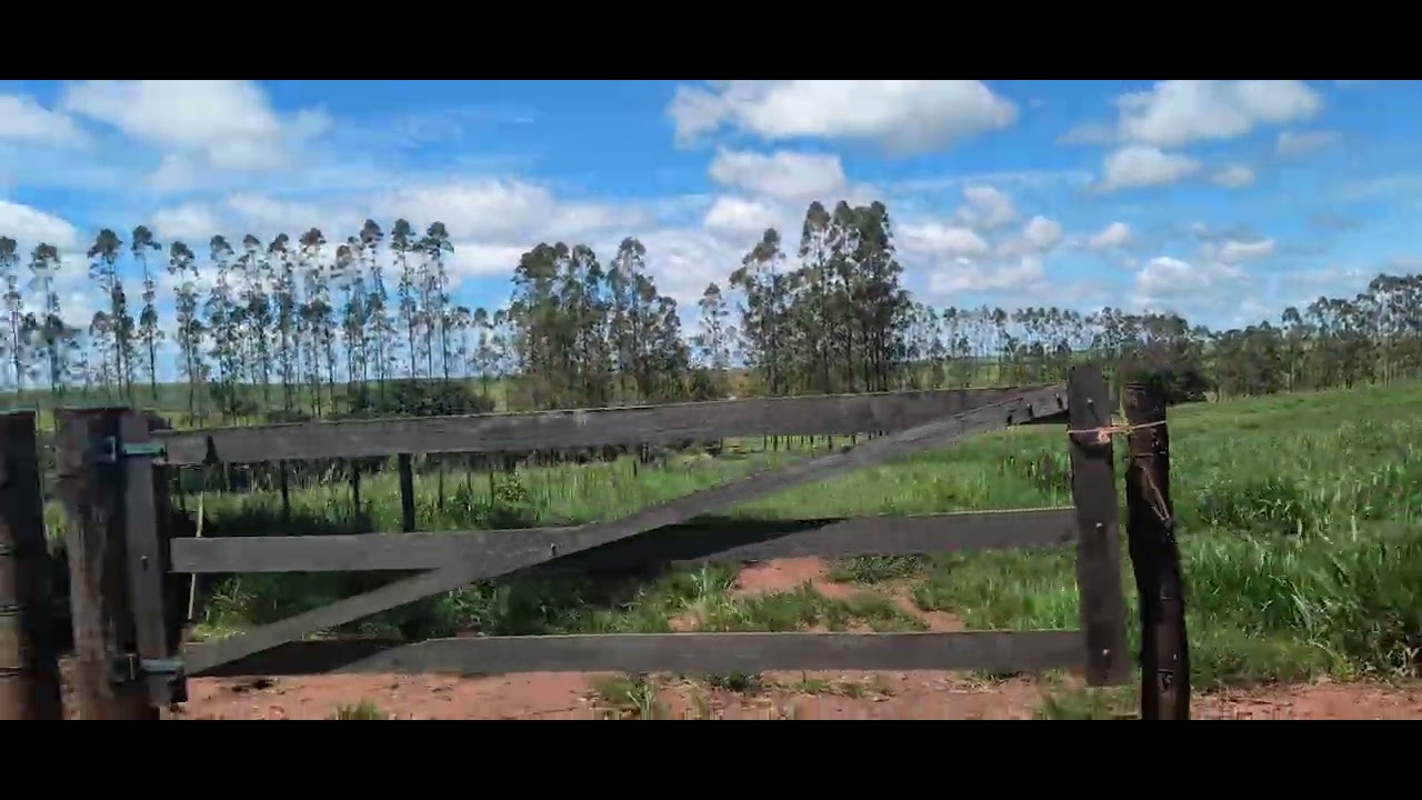 Entrega fazenda candiolina👍