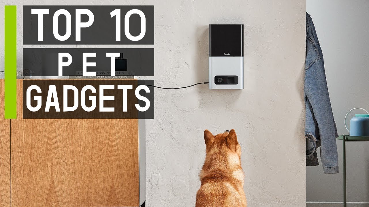Top 10 Must Have Gadgets for Your Pets