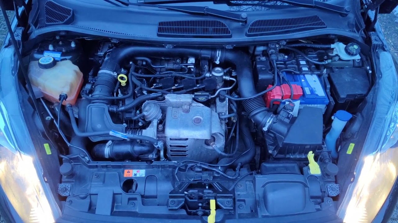 2013 Ford Fiesta 1.0 Ecoboost how it should sound like when it's healthy ( idle )