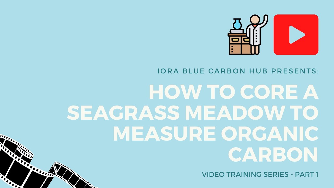 Video Training Series 1: How to core a seagrass meadow to measure organic carbon.