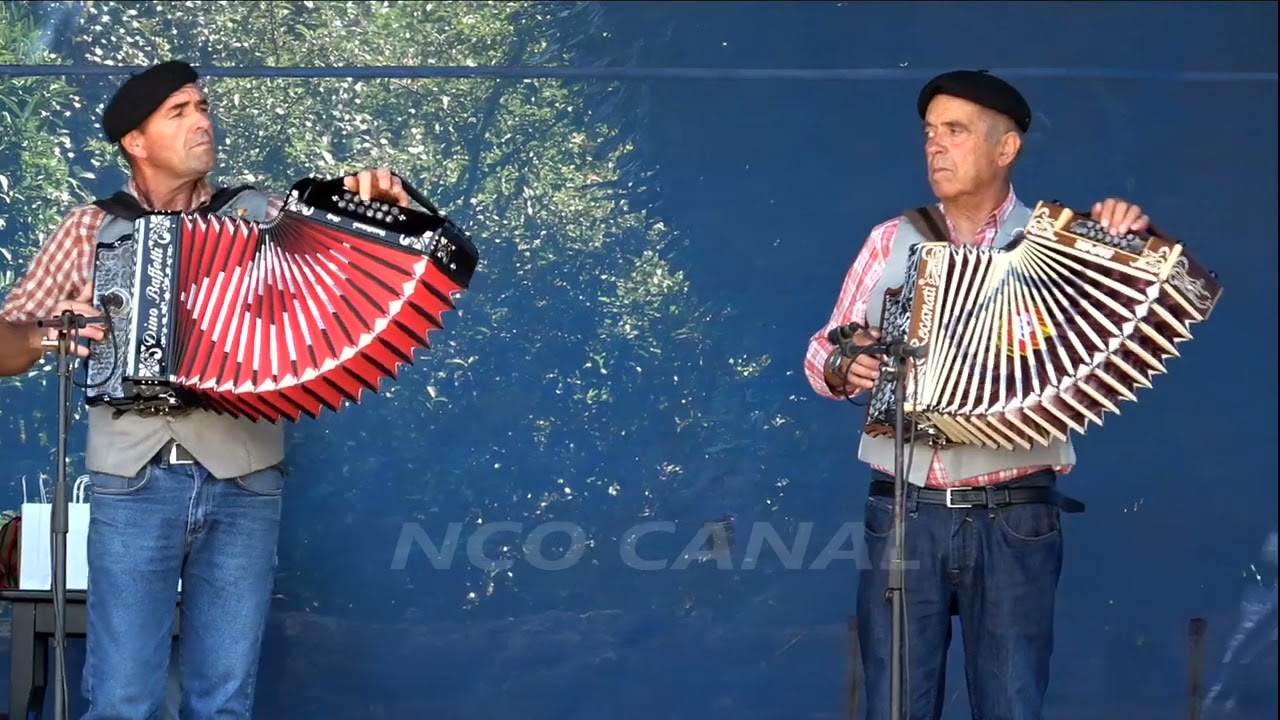 Concertinas da Barrenta em Alquerubim Albergaria-a-Velha, 2025