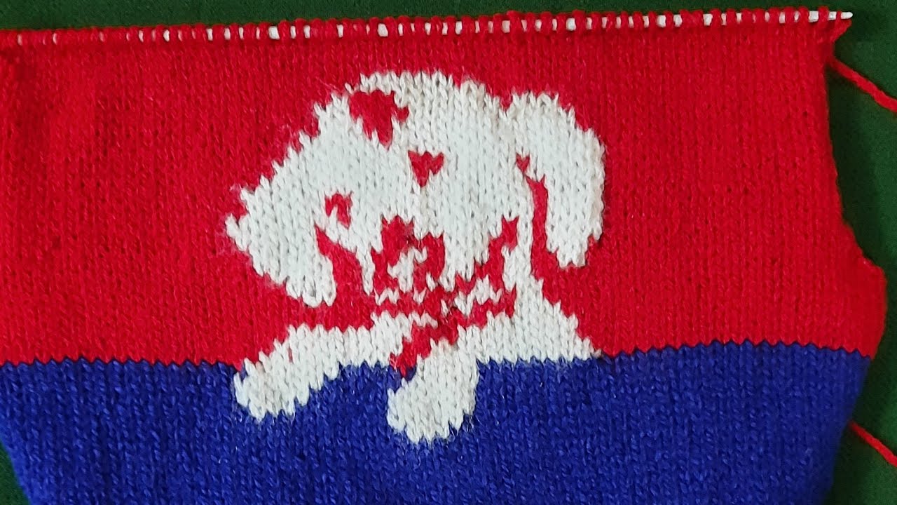 Dog Design for  sweater