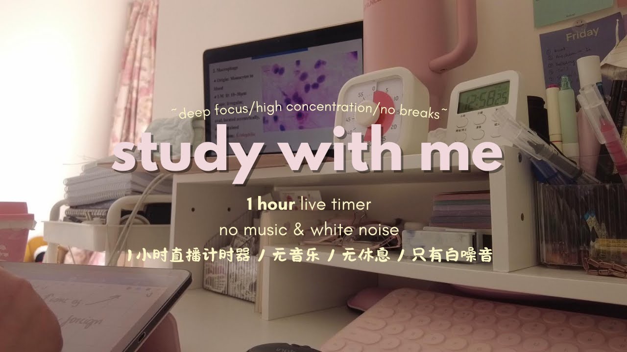 1 HOUR STUDY WITH ME | no music | white noise | no breaks = flow state
