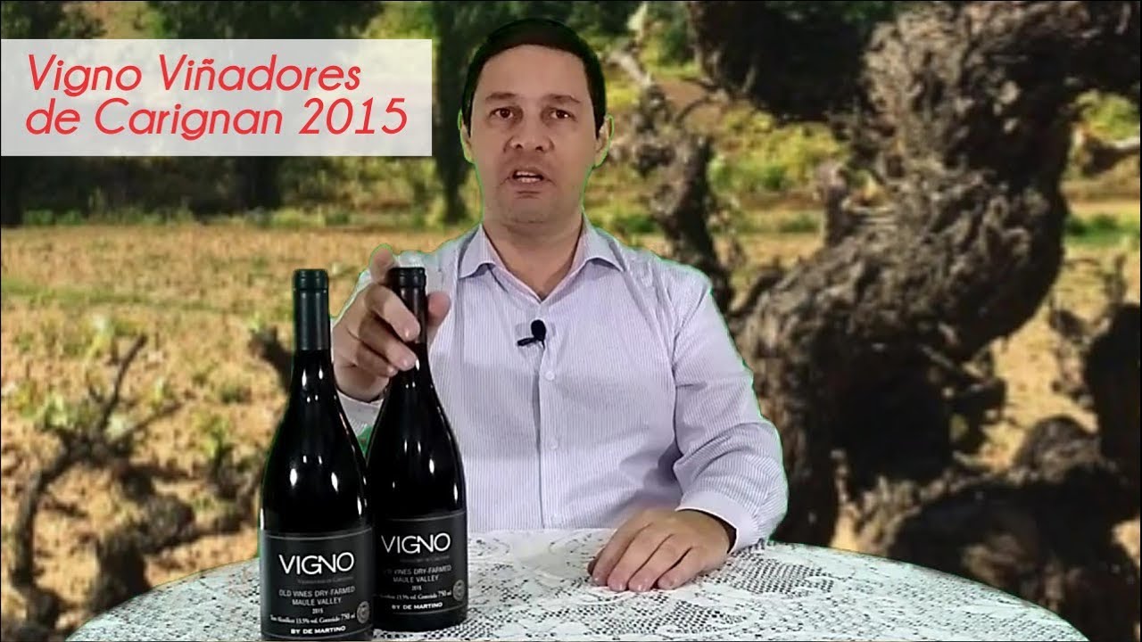 Vigno Vi&ntilde;adores de Carignan 2015