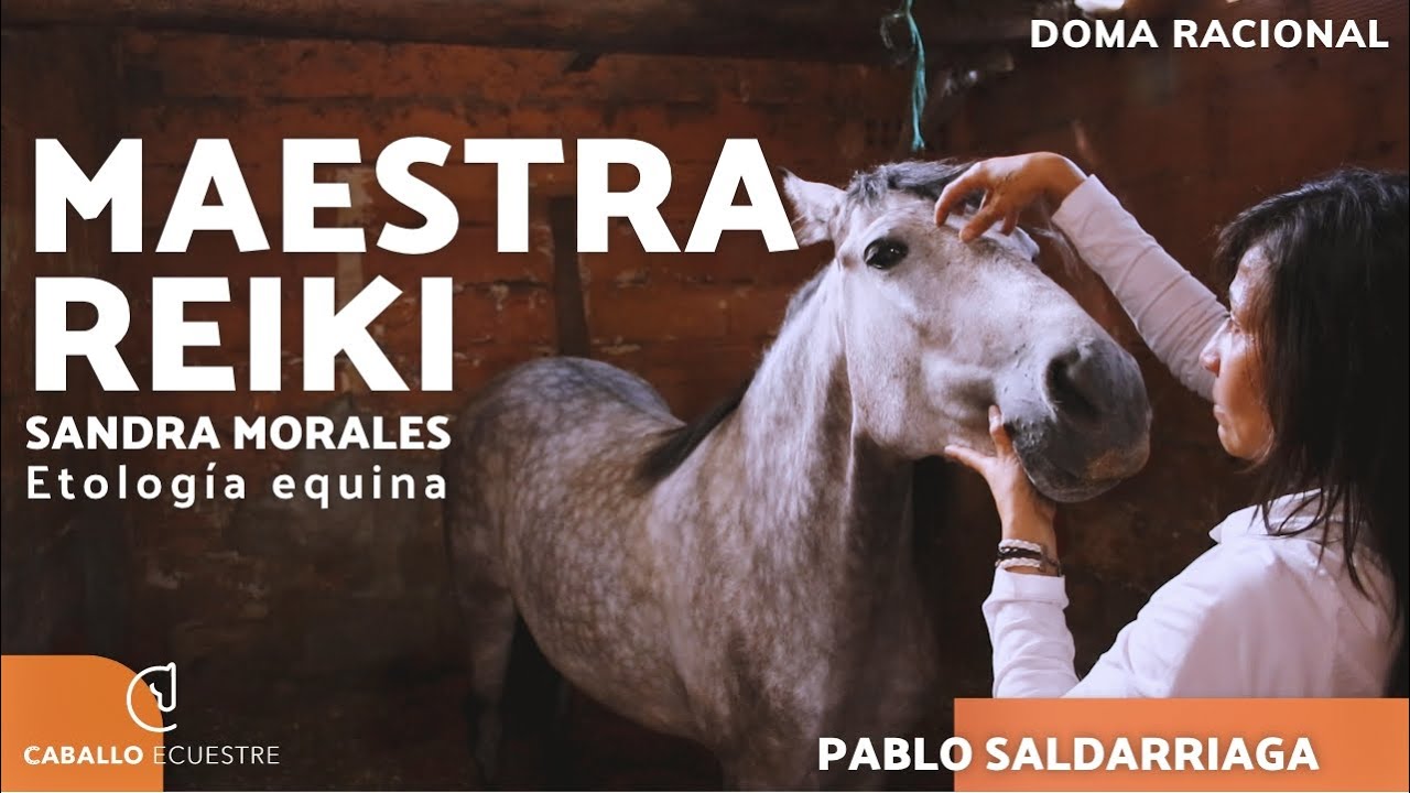 LAS ENERGÍAS EN CABALLOS 🐴 MAESTRA REIKI