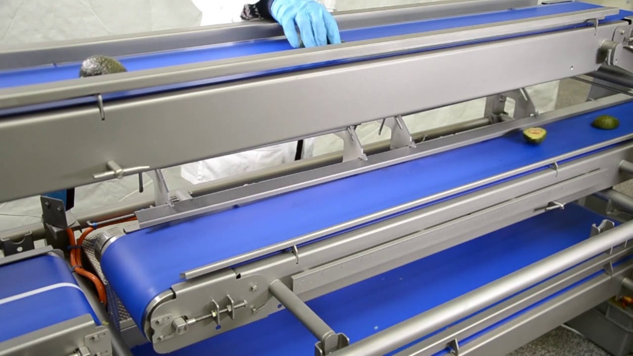 Convenience Avocado Line for processing avocados: Peeling and coring of large quantities