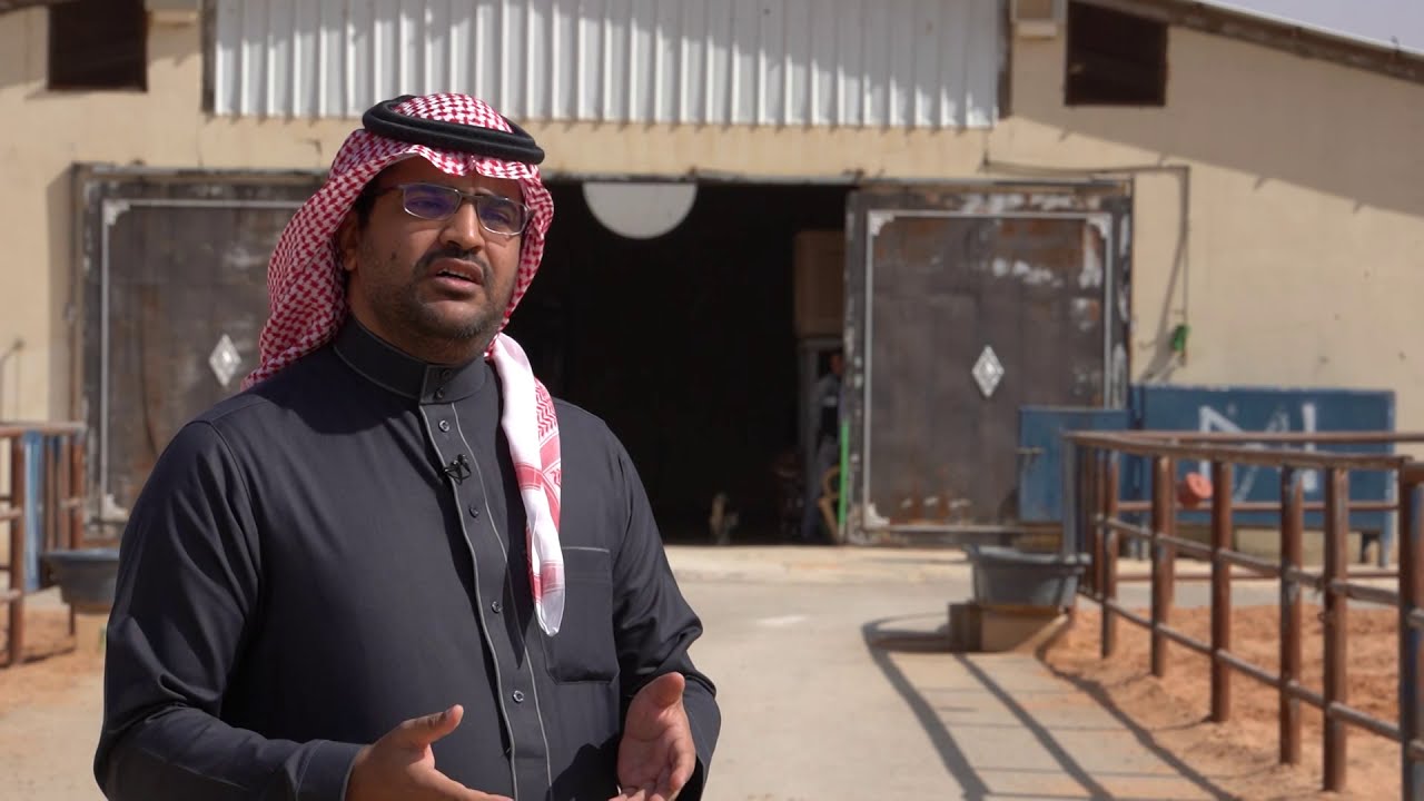 انتاج الخيل في السعودية