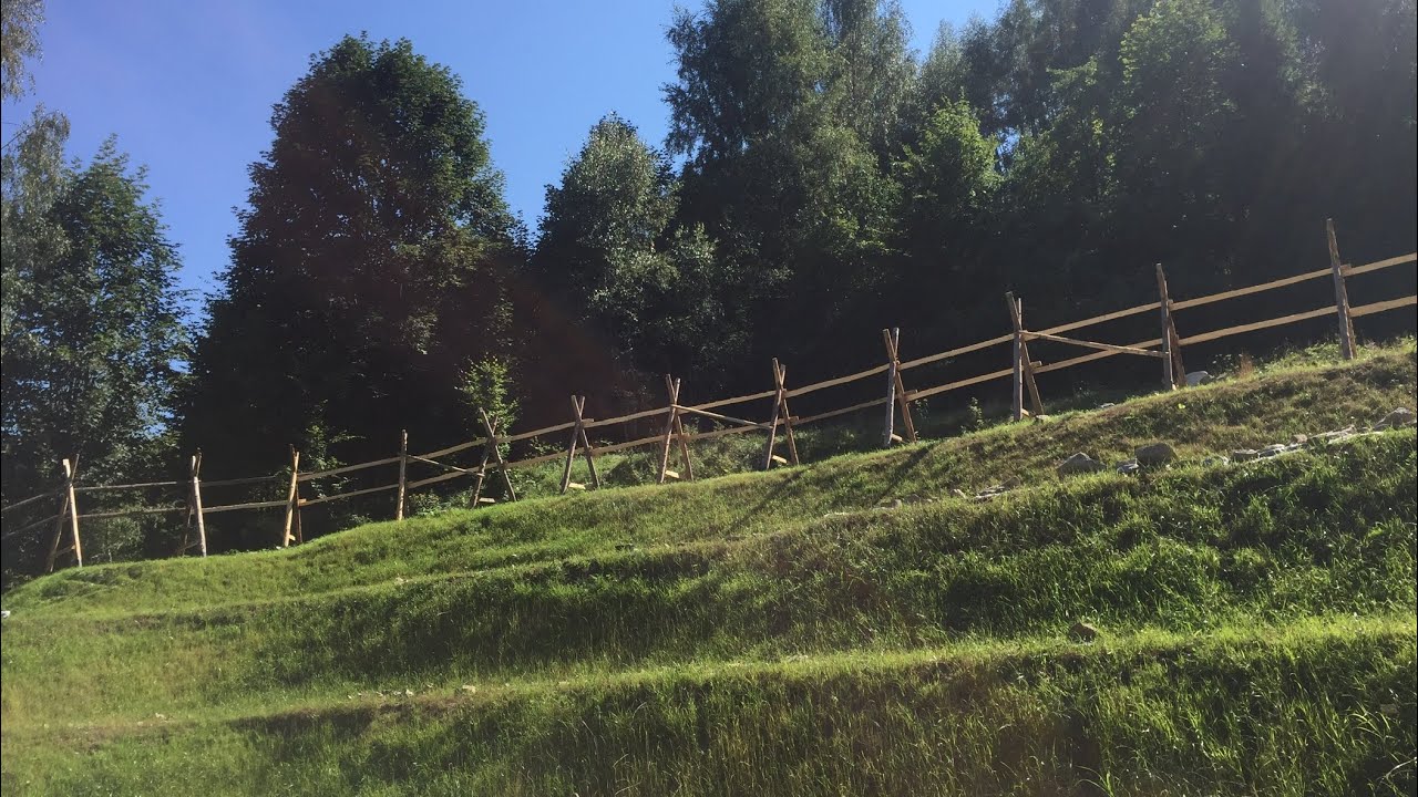 how to quickly plant grass on a slope