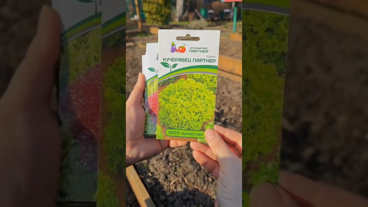 How to get an early greens harvest without a greenhouse?🌱🥬