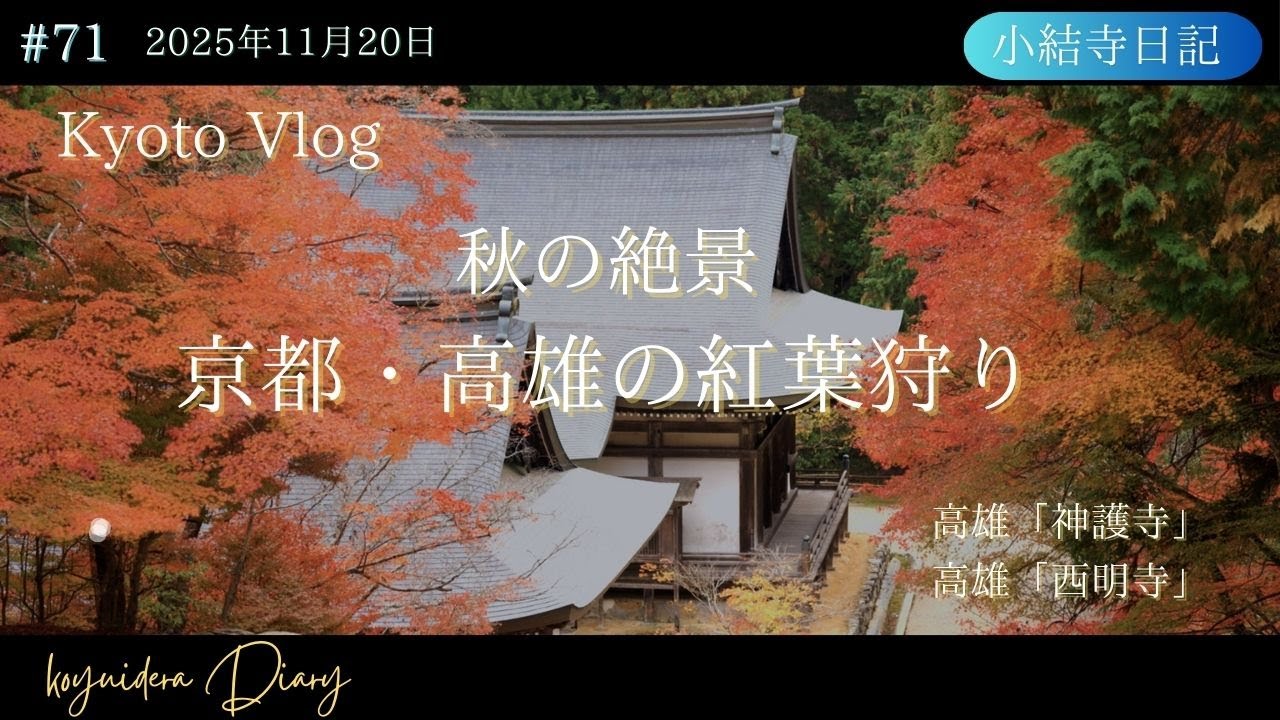 【小結寺日記】#71  京都Vlog/感動するほどに美しい紅葉の高雄「神護寺」/「西明寺」/ランチは高雄/ROOT2 RIVERSIDE　#京都    #高雄 　#紅葉