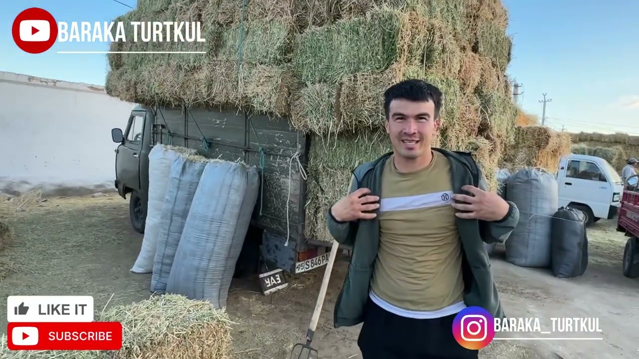 TURTKUL MOLBOZOR YEM HASHAK NARXLARI 18.05.2025