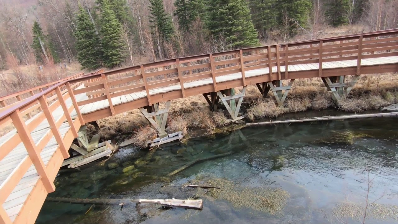 Zycie w Kanadzie - Eagle River Alaska. Natura sama w sobie