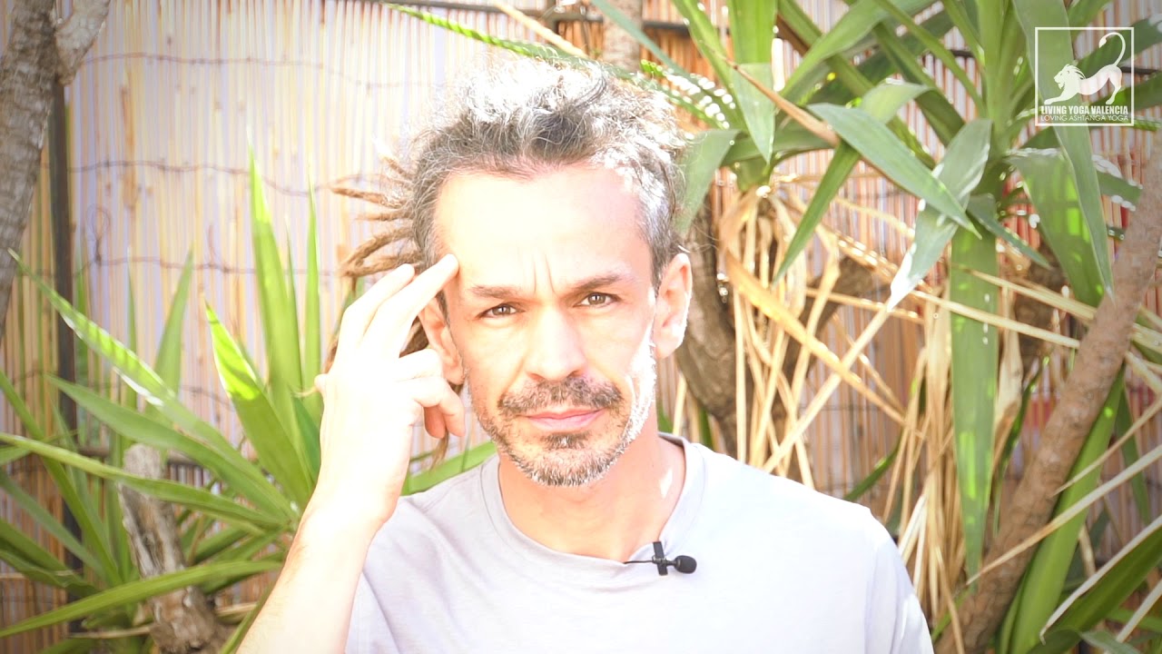 YogaVlog73: PORQUE RESPIRAMOS POR LA NARIZ EN EL YOGA