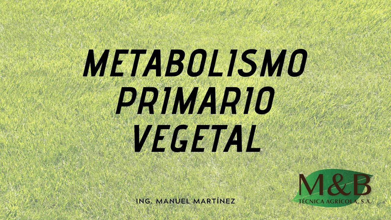 Metabolismo Primario Vegetal