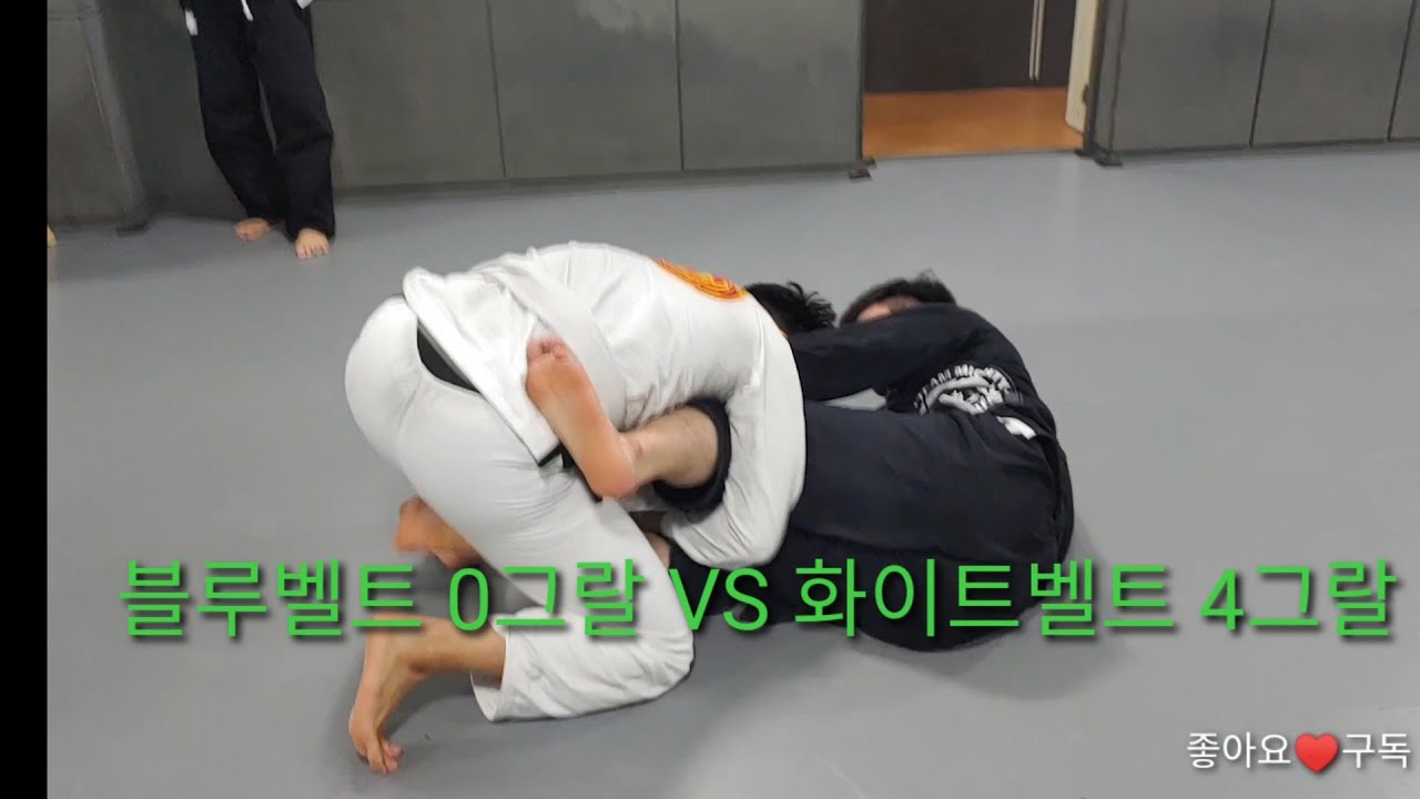 jiu jitsu Vlog
블루벨트 0그랄 VS 화이트벨트 4그랄 주짓수스파링