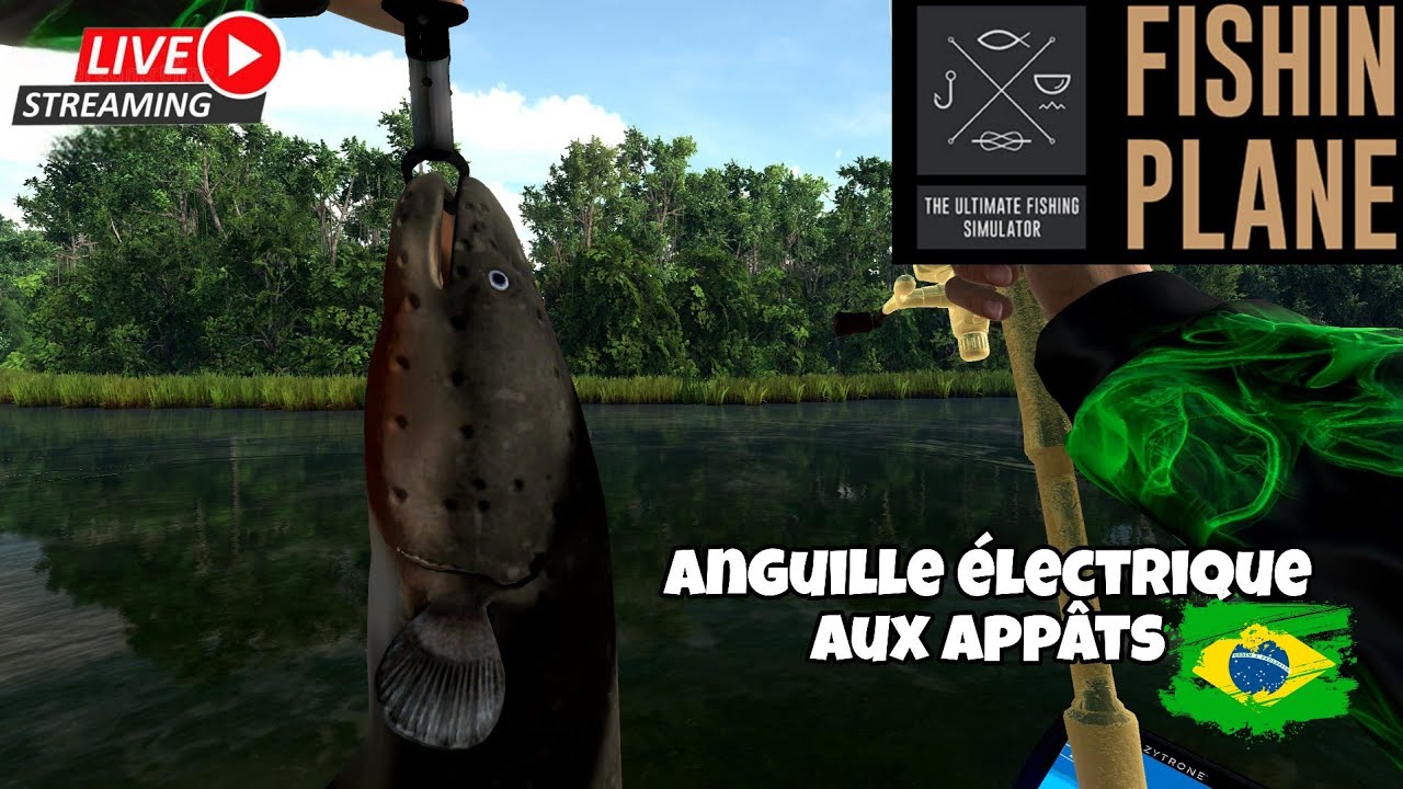 🔴 FISHING PLANÈTE 🇧🇷 Anguille Électrique  🇧🇷 Dédale De L'Amazone