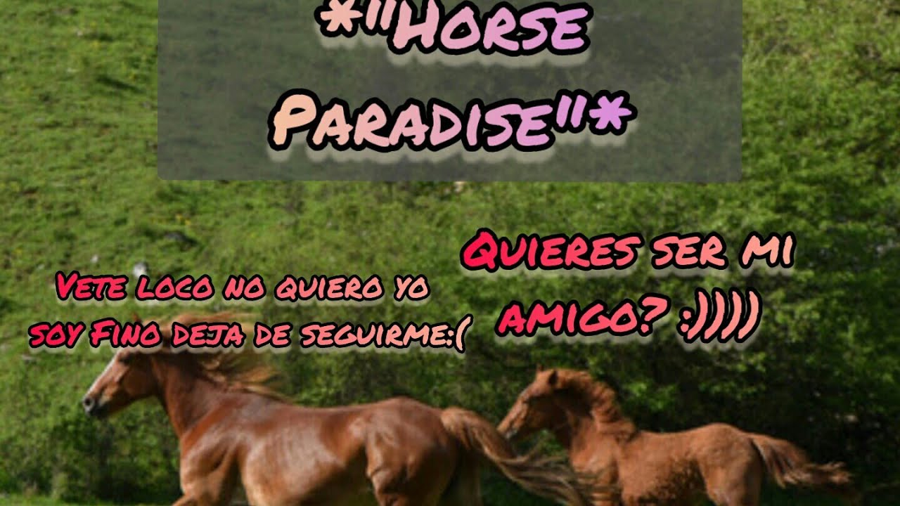 jugando mi horse paradise ....,finjo ser  noob para ver que hacen los vip
