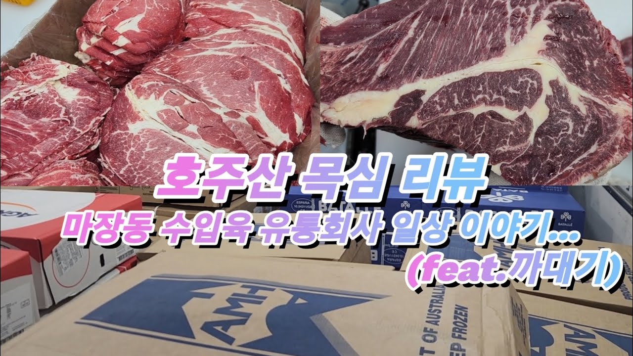 [마장동 일상] 호주산 S목심 리뷰 / 수입육 유통회사 까대기 리뷰(AMH/EST.235) Vlog #마장동 #축산물 #축산업 #축산물시장 #우시장
