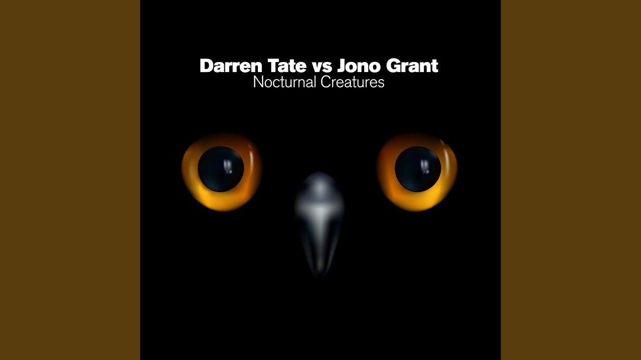 Nocturnal Creatures (Original Mix)