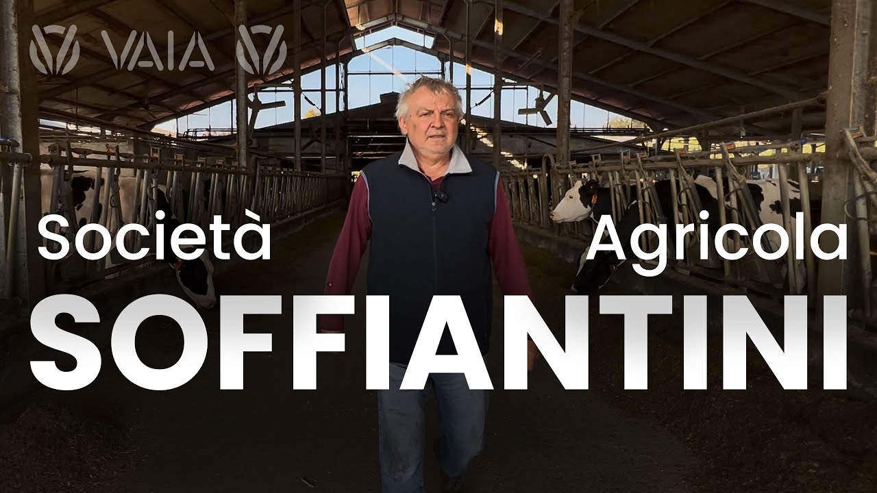 Società Agricola Soffiantini: efficienza, biogas e trasporti agricoli con i mezzi VAIA | Intervista