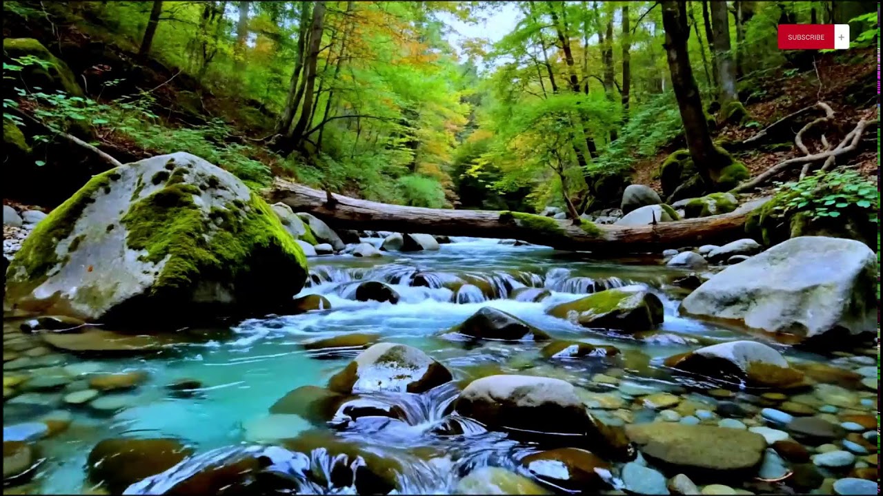 Relaxing Piano Music with Calm Woodland River Sounds | 10 Hours