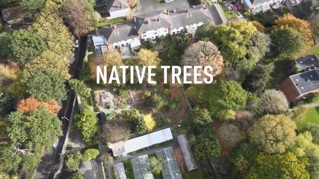 5 in FIVE: Native Trees