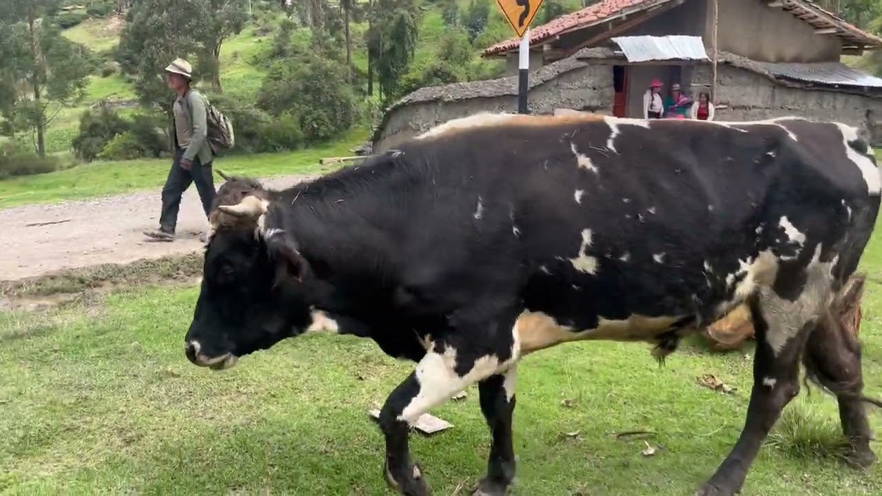 Santiago Martínez Evangelista,paseando por musga en burrito.