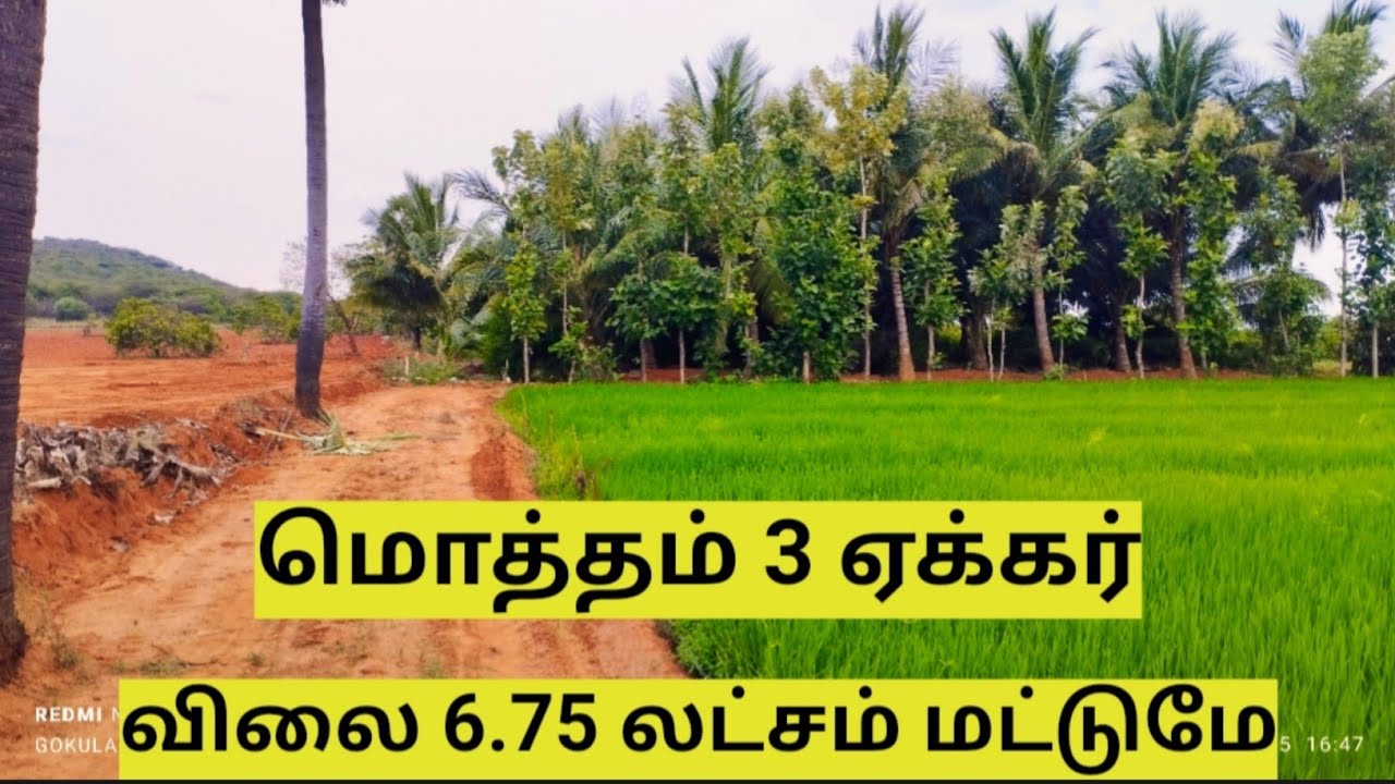 SOLD   OUT  மொத்தம் 3 ஏக்கர் மிக குறைந்த விலையில்