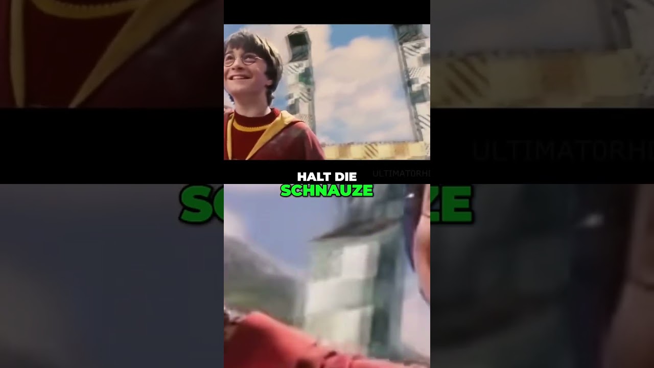 Ich hab den Schnatz! Harry, wir haben es geschafft!