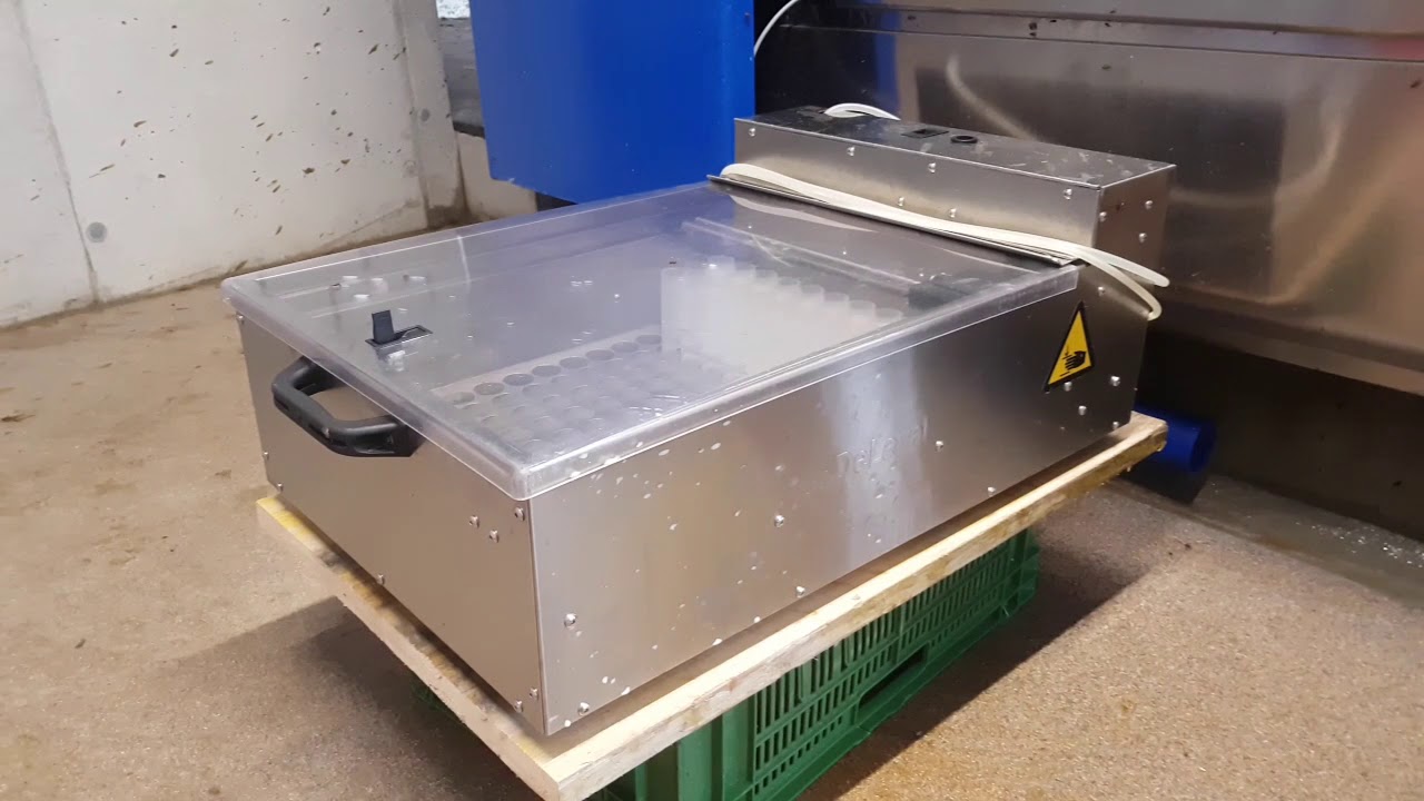 Milchprobe