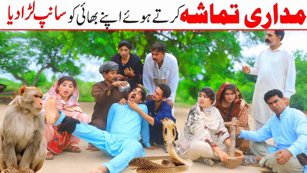 madari  Ramzi,Noori, Bilo ,Bhootna,Shoki, Sanam, Falak Sher,Funny Video  Rachnavi Tv