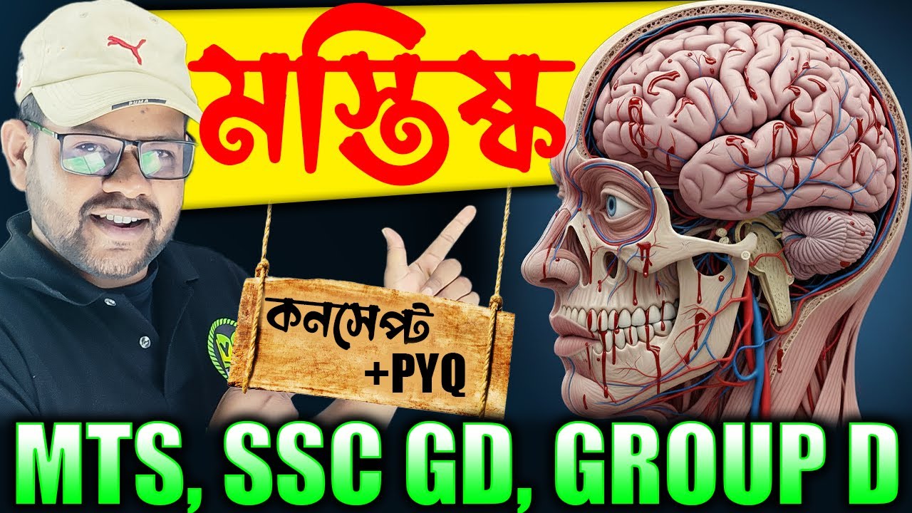 মানব মস্তিষ্কের গঠন ও কাজ  | Concept + PYQ | Human Brain for All Govt Exam | Human Brain in Bangla