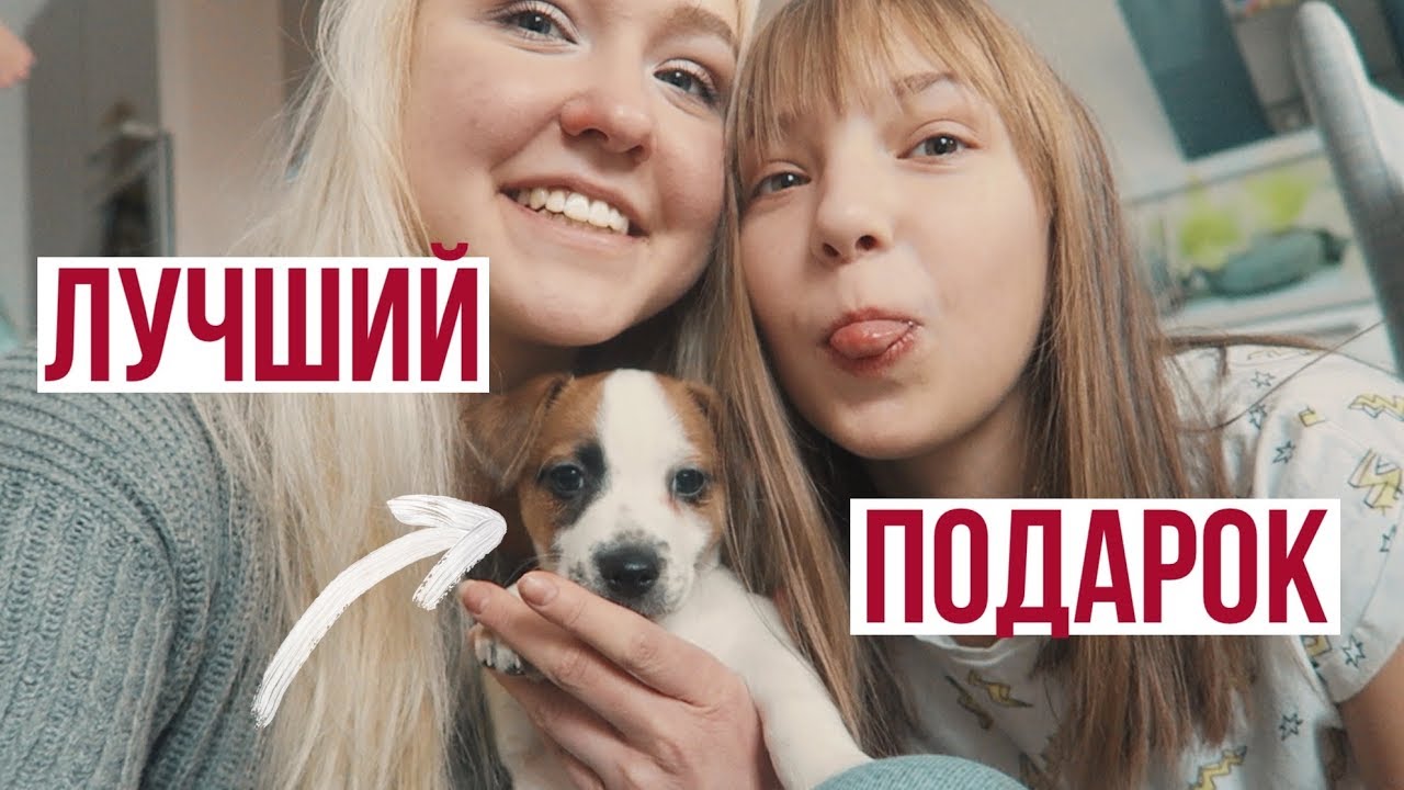 ЛУЧШИЙ ПОДАРОК НА НОВЫЙ ГОД