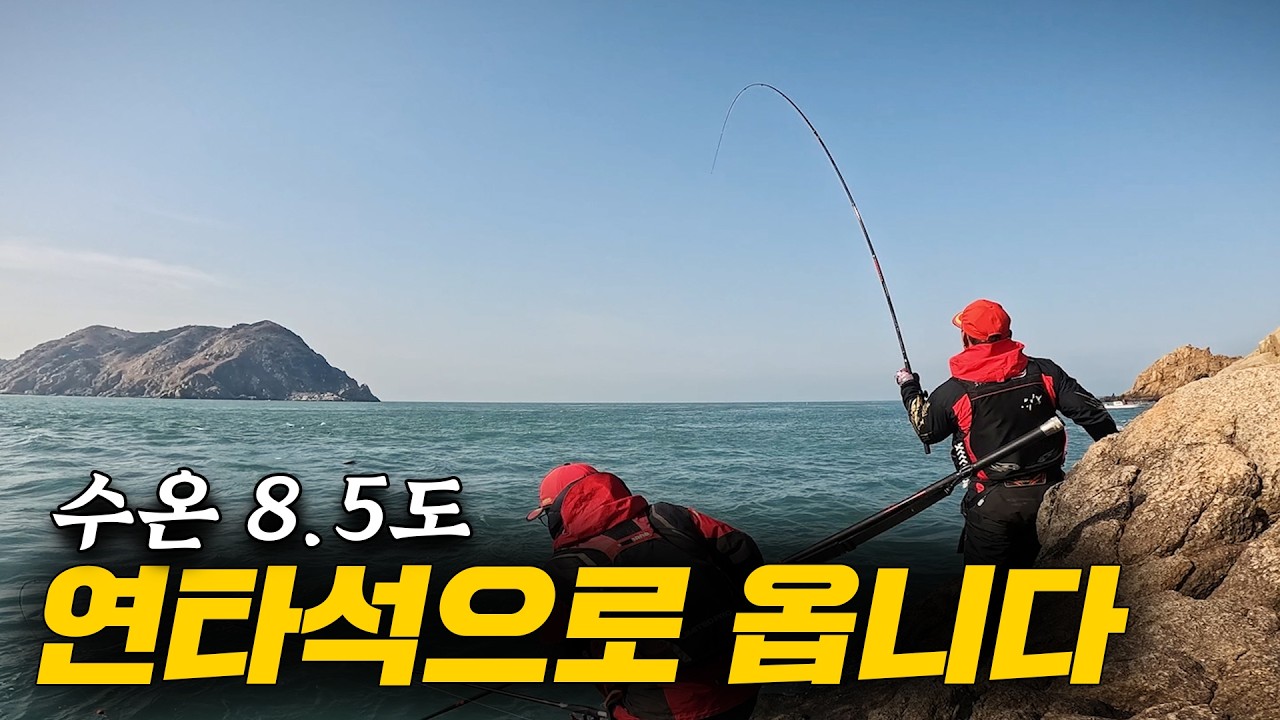 저수온기 사람은 없는데 고기는 많네 ! 태도 저수온기 감성돔 낚시 !!