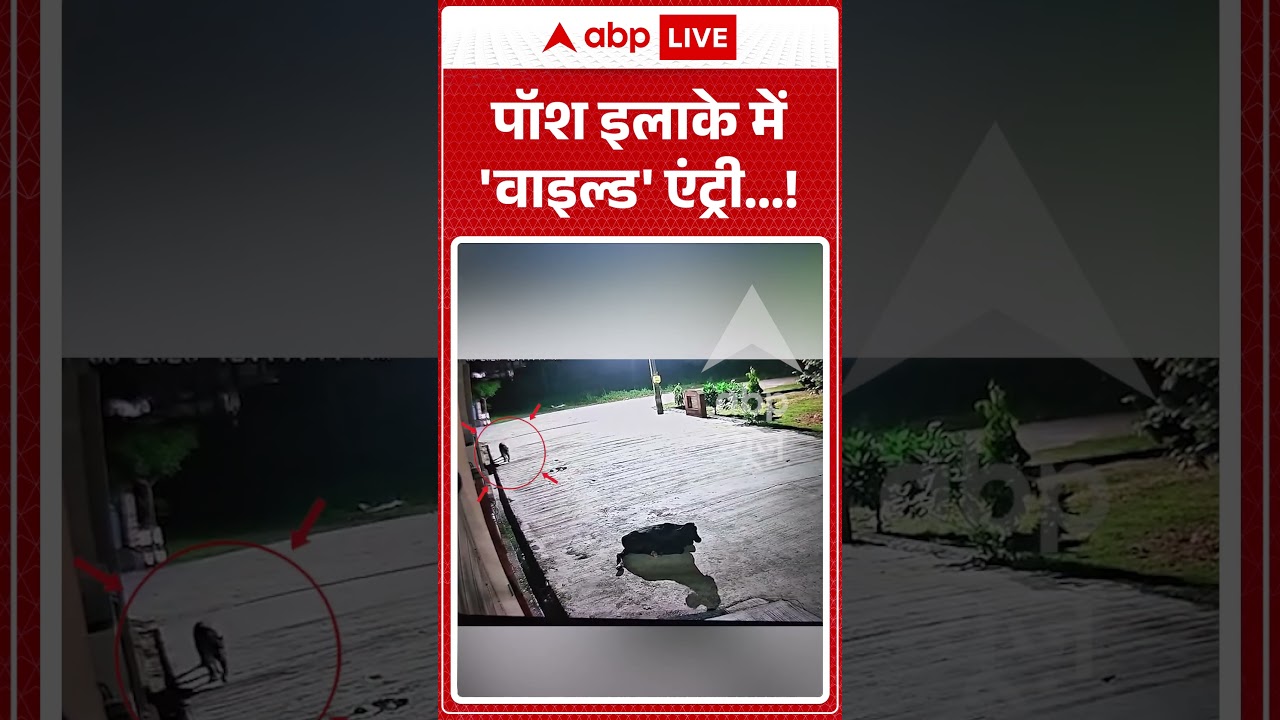 Viral Video : पॉश इलाके में 'वाइल्ड' एंट्री... ! | #Kashipur #LeopardAttack