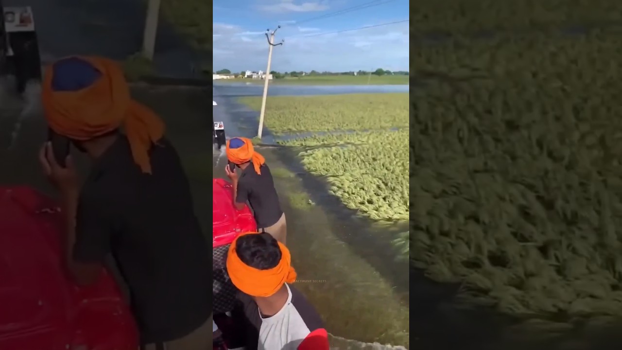 Assam Flood Crisis 2026 🌊🇮🇳