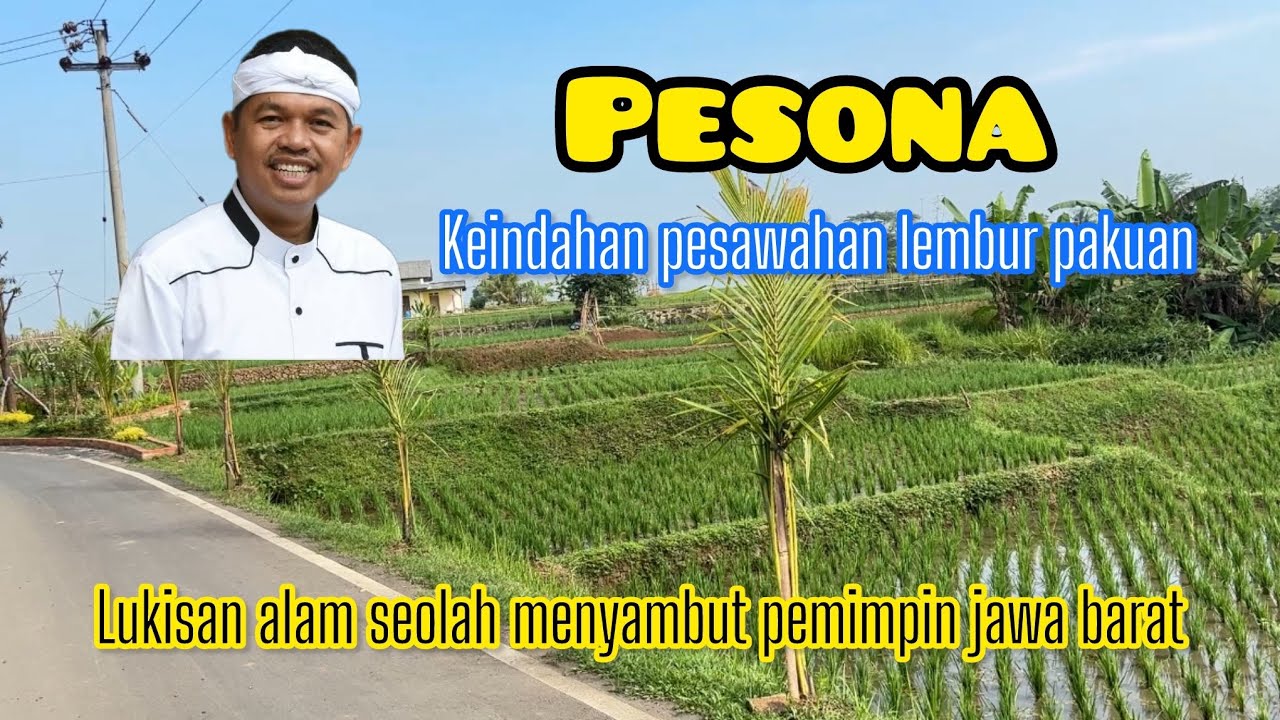 Lembur pakuan | Pesona Alam Pesawahan Lembur pakuan Karya Kang Dedi Mulyadi | Lembur pakuan