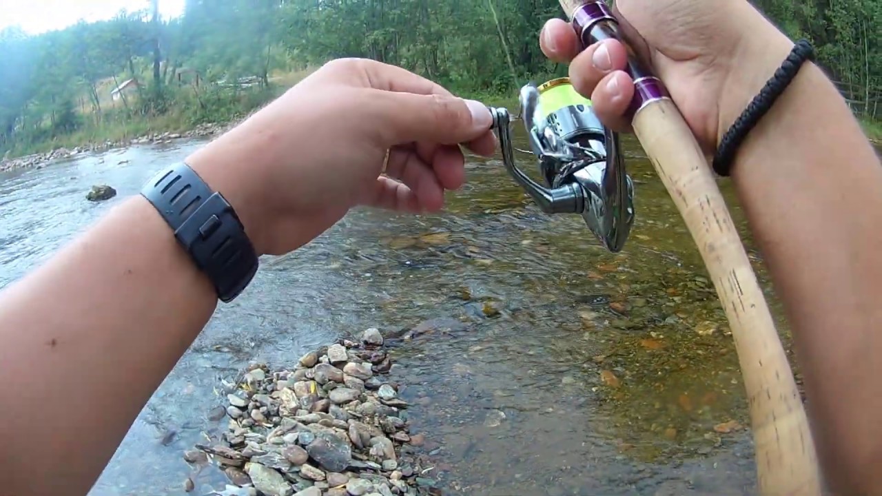 Transilvanian river trout. Pescuit la pastrav pe un rau salbatic!