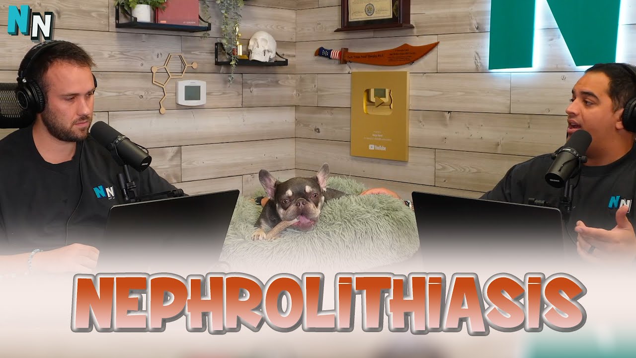 Nephrolithiasis | Podcast