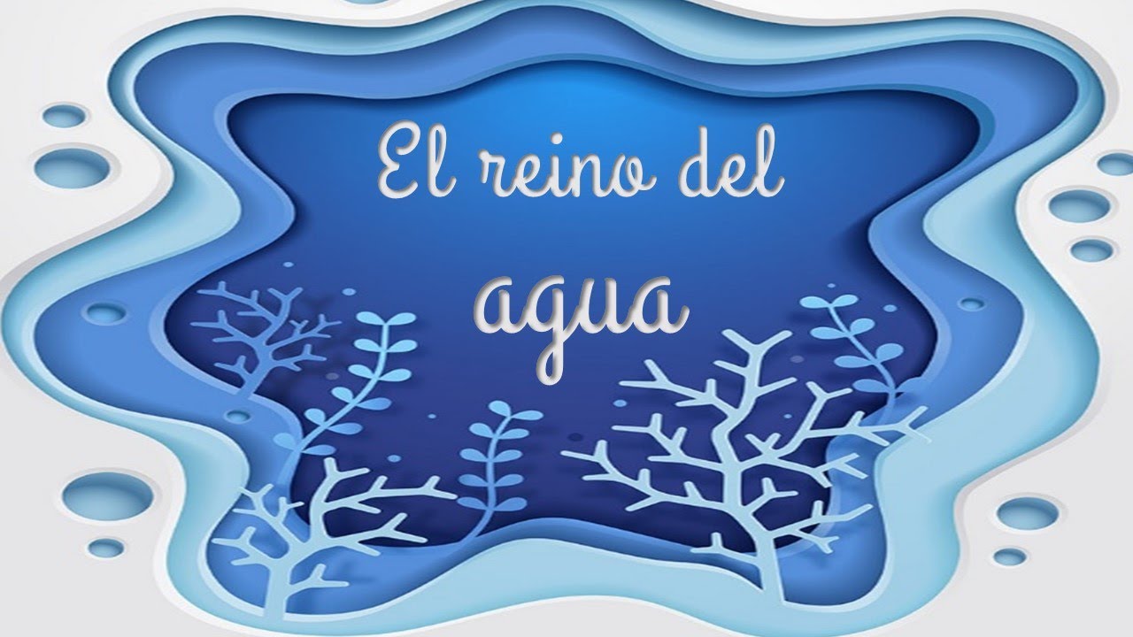 💧 💦💧Estudio del reino de los espíritus del agua