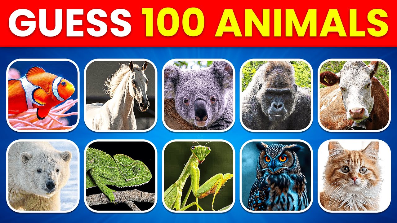 Guess 100 Animals in 3 Seconds 🦁🙉🐼|  Animal Quiz 2026 | Quiz Ape