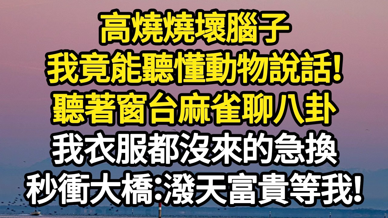 高燒燒壞腦子，我竟能聽懂動物說話！聽著窗台麻雀聊八卦，我衣服都沒來的急換，秒衝大橋：潑天富貴等我！#故事#悬疑#人性#刑事#人生故事#生活哲學#為人哲學
