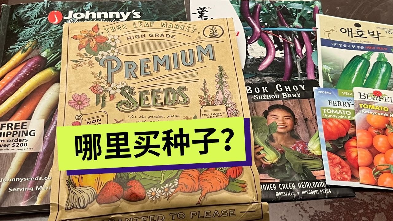哪里买种子where to buy seeds ？｜北美种植