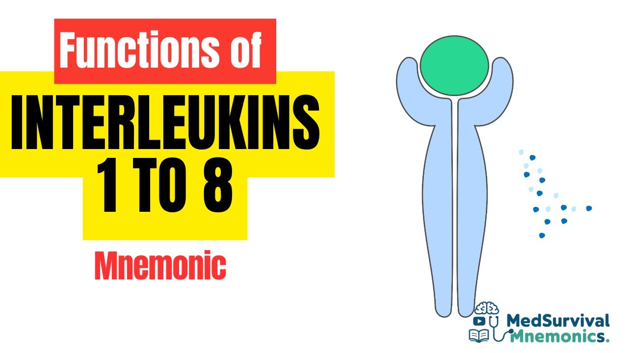 Mnemonic for Interleukins 1-8 Functions