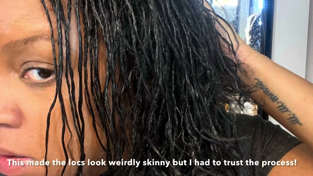 6 Month DIY Braidloc Mircoloc Journey| Heat Damage Hair
