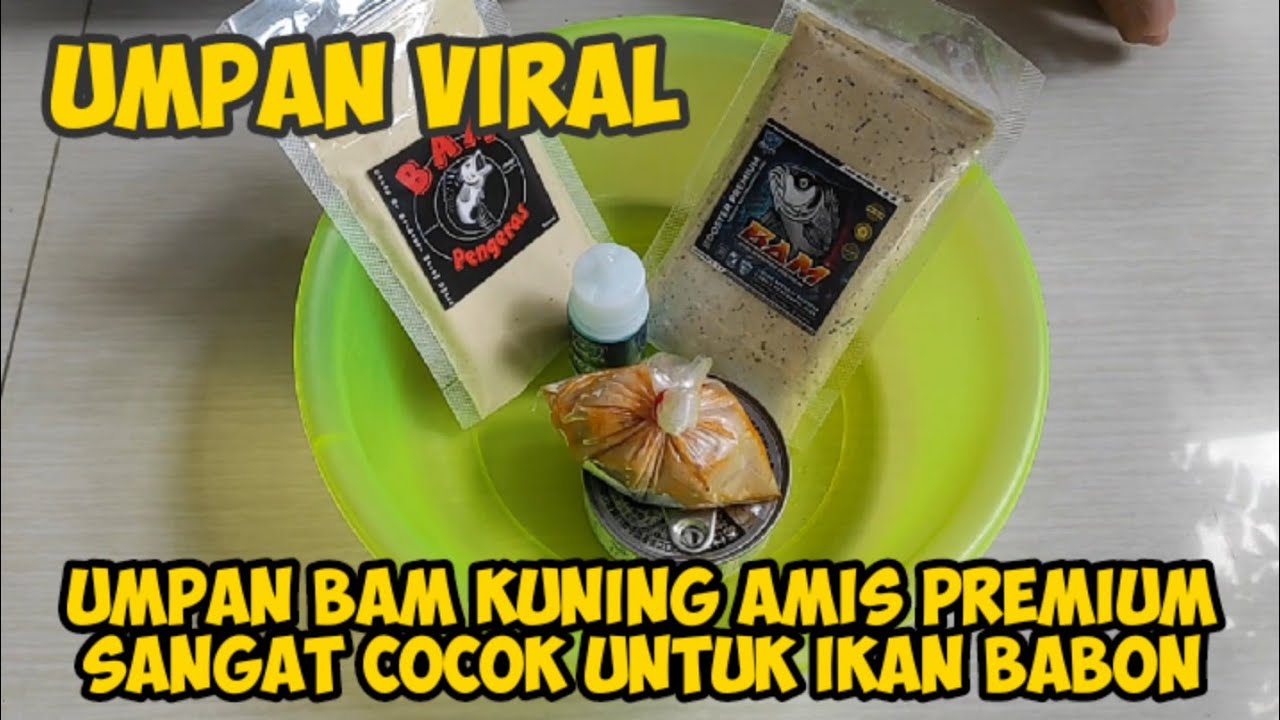 PAKAI UMPAN BAM AMIS KUNING PREMIUM FEAT ESSEN SRIKANDI MEMANG MENGGODA IKAN SUPER